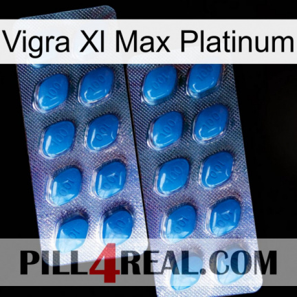 Vigra Xl Max Platinum viagra2